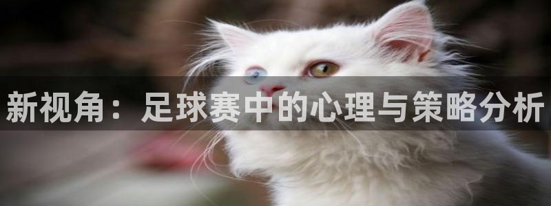  新视角：足球赛中的心理与策略分析