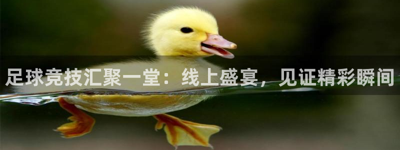足球竞技汇聚一堂：线上盛宴，见证精彩瞬间