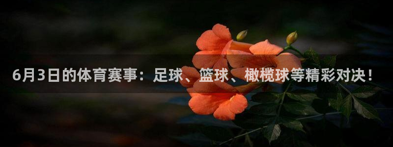 6月3日的体育赛事：足球、篮球、橄榄球等精彩对决！