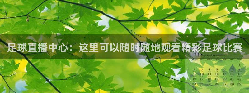  足球直播中心：这里可以随时随地观看精彩足球比赛