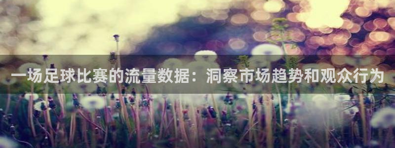 一场足球比赛的流量数据：洞察市场趋势和观众行为