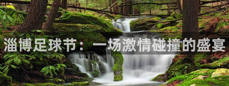 淄博足球节：一场激情碰撞的盛宴