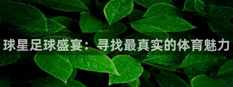 球星足球盛宴：寻找最真实的体育魅力