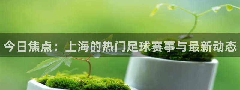 今日焦点：上海的热门足球赛事与最新动态