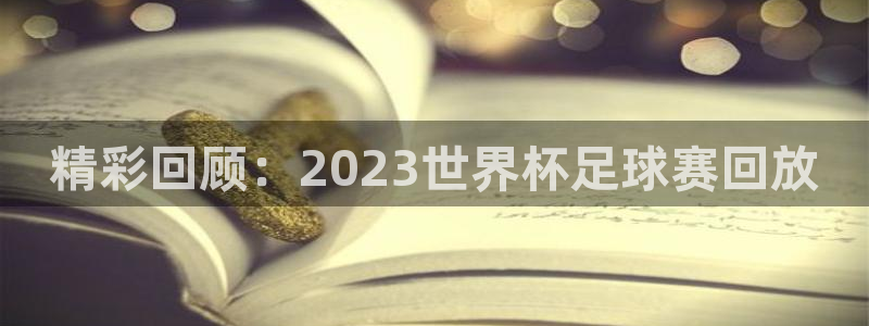 精彩回顾：2023世界杯足球赛回放