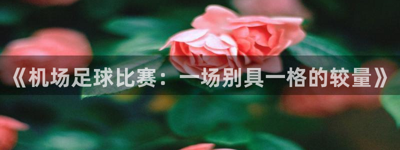 《机场足球比赛：一场别具一格的较量》