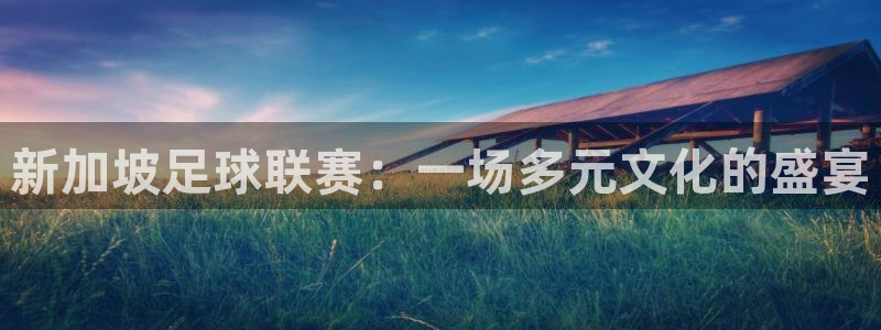 新加坡足球联赛：一场多元文化的盛宴