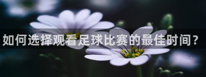 如何选择观看足球比赛的最佳时间？