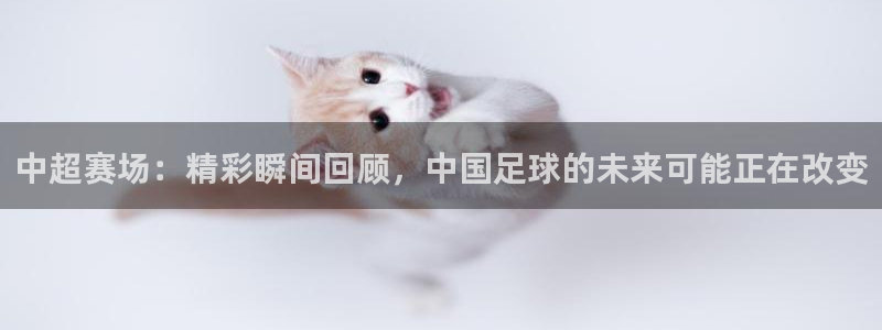 中超赛场：精彩瞬间回顾，中国足球的未