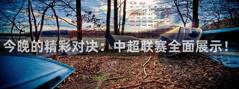 今晚的精彩对决：中超联赛全面展示！