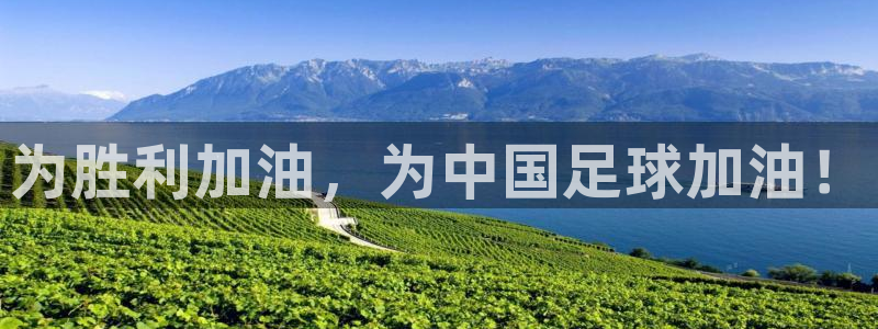 为胜利加油，为中国足球加油！