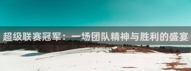 超级联赛冠军：一场团队精神与胜利的盛