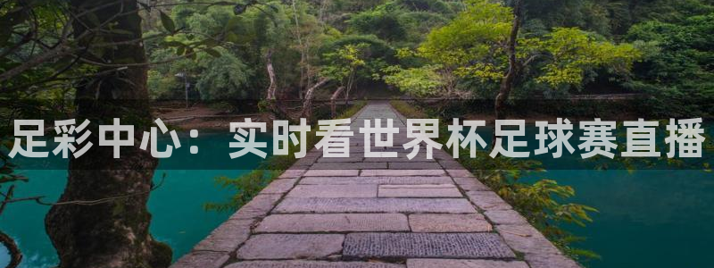 足彩中心：实时看世界杯足球赛直播